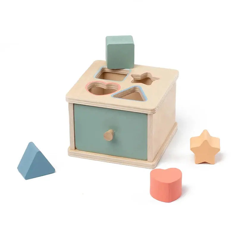 Montessori Wooden Coin & Shape Box Educational Toy Trikidsworld