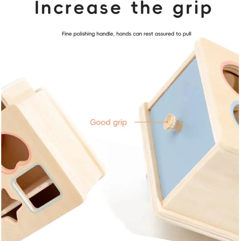 Montessori Wooden Coin & Shape Box Educational Toy Trikidsworld