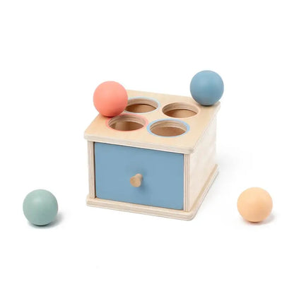 Montessori Wooden Coin & Shape Box Educational Toy Trikidsworld