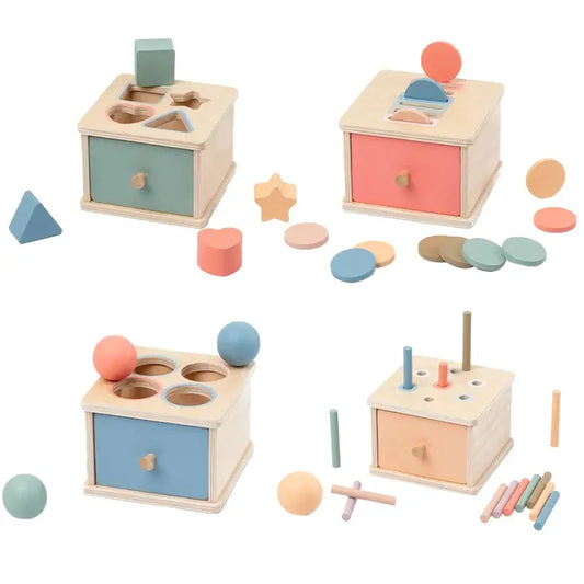 Montessori Wooden Coin & Shape Box Educational Toy Trikidsworld