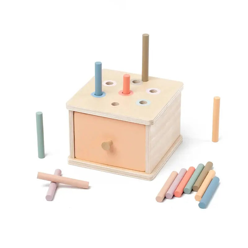 Montessori Wooden Coin & Shape Box Educational Toy Trikidsworld