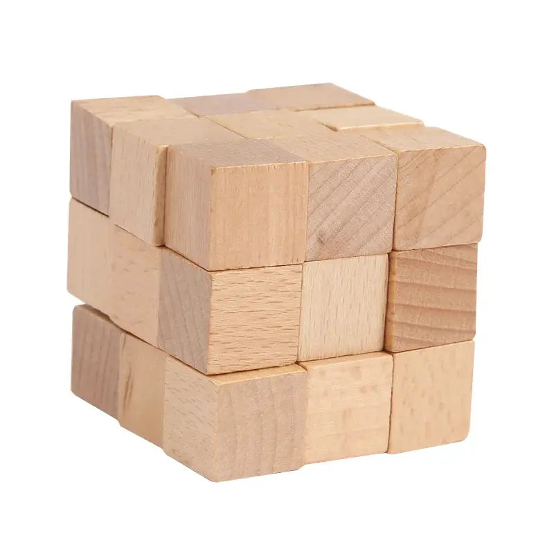 Wooden Puzzle Lock Toy Trikidsworld