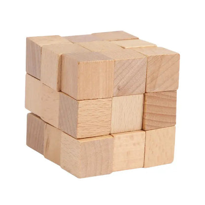 Wooden Puzzle Lock Toy Trikidsworld