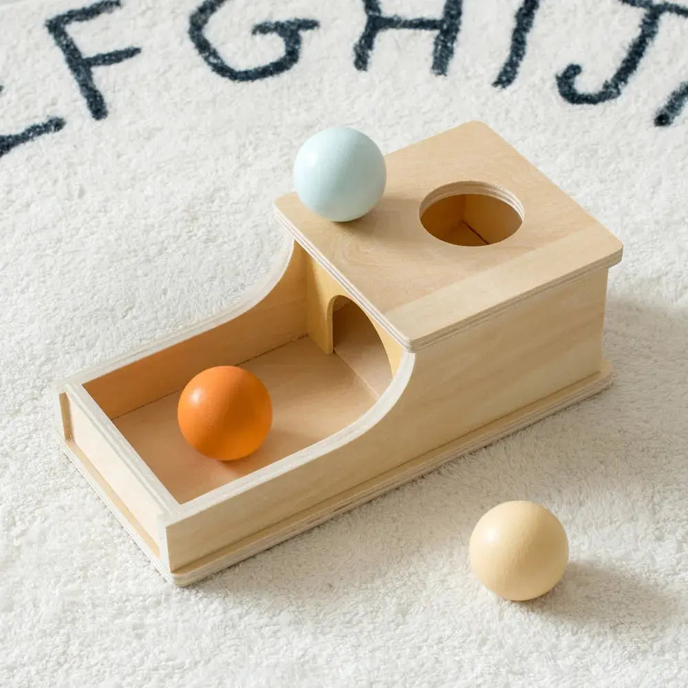Montessori Wooden Baby Toy – Coin Box, Ball Drum & Shape Sorter | Educational & Sensory Learning Gift Trikidsworld