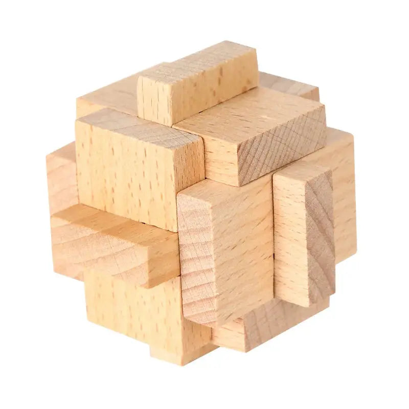 Wooden Puzzle Lock Toy Trikidsworld
