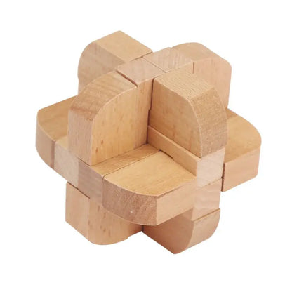 Wooden Puzzle Lock Toy Trikidsworld