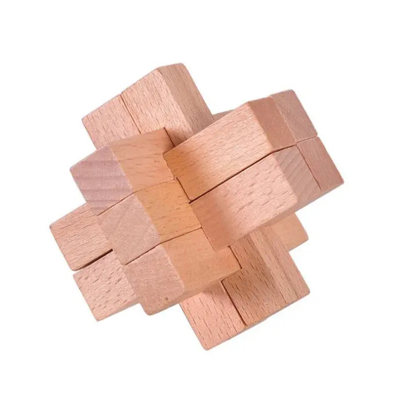 Wooden Puzzle Lock Toy Trikidsworld