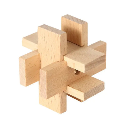 Wooden Puzzle Lock Toy Trikidsworld