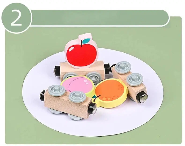 Montessori Magnetic Wooden Train Toy – Early Educational Animal Sorting Learning Set for Kids Trikidsworld