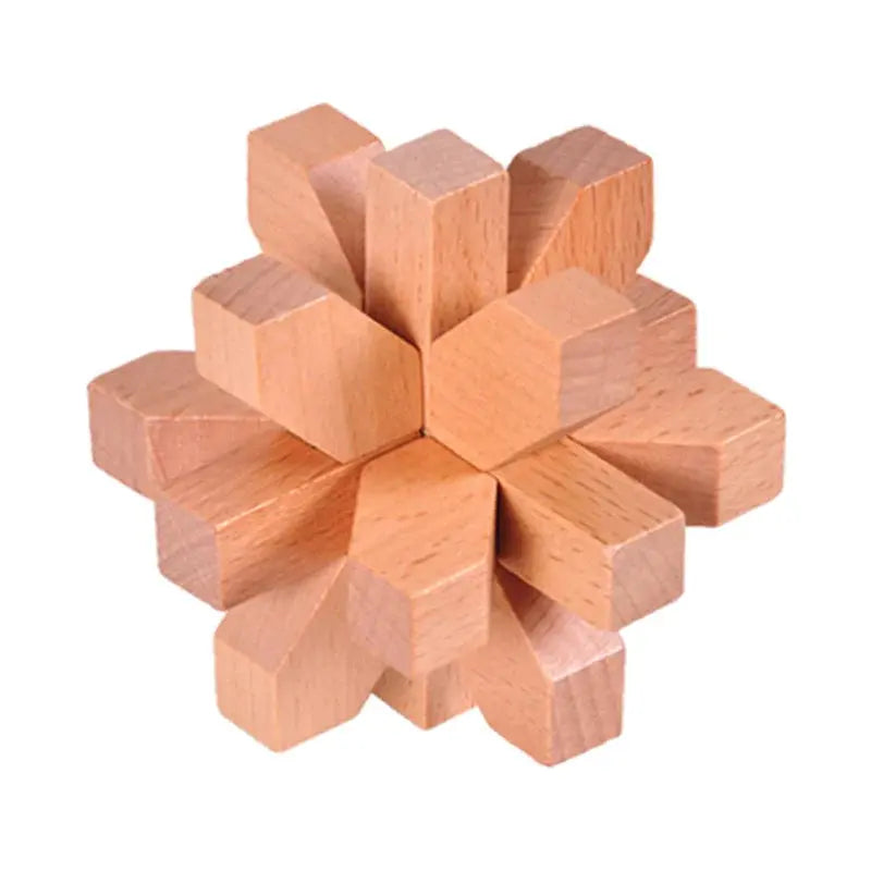 Wooden Puzzle Lock Toy Trikidsworld
