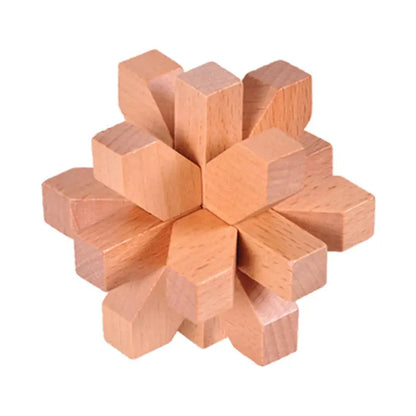 Wooden Puzzle Lock Toy Trikidsworld