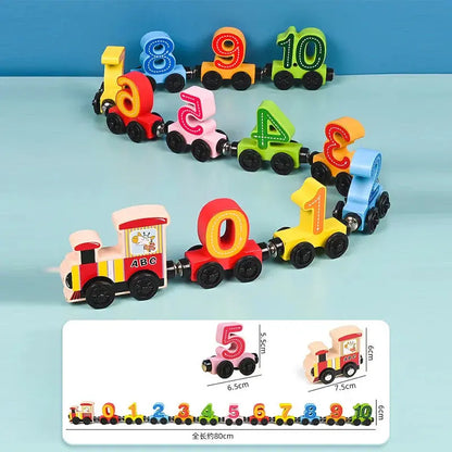Montessori Magnetic Wooden Train Toy – Early Educational Animal Sorting Learning Set for Kids Trikidsworld