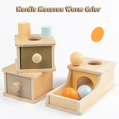 Montessori Wooden Baby Toy – Coin Box, Ball Drum & Shape Sorter | Educational & Sensory Learning Gift Trikidsworld
