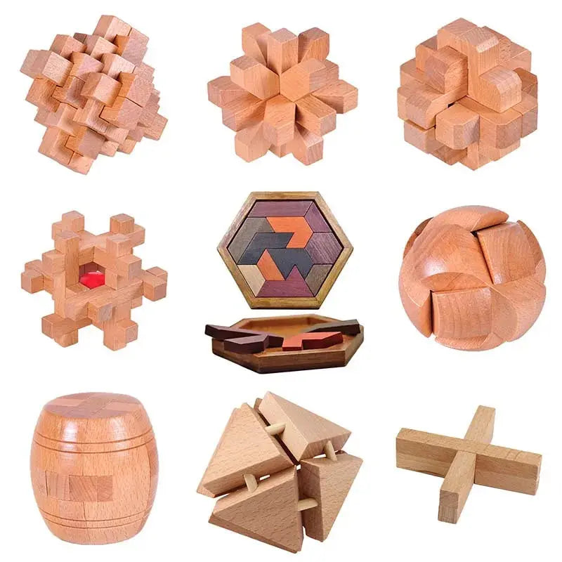 Wooden Puzzle Lock Toy Trikidsworld