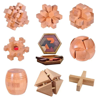 Wooden Puzzle Lock Toy Trikidsworld