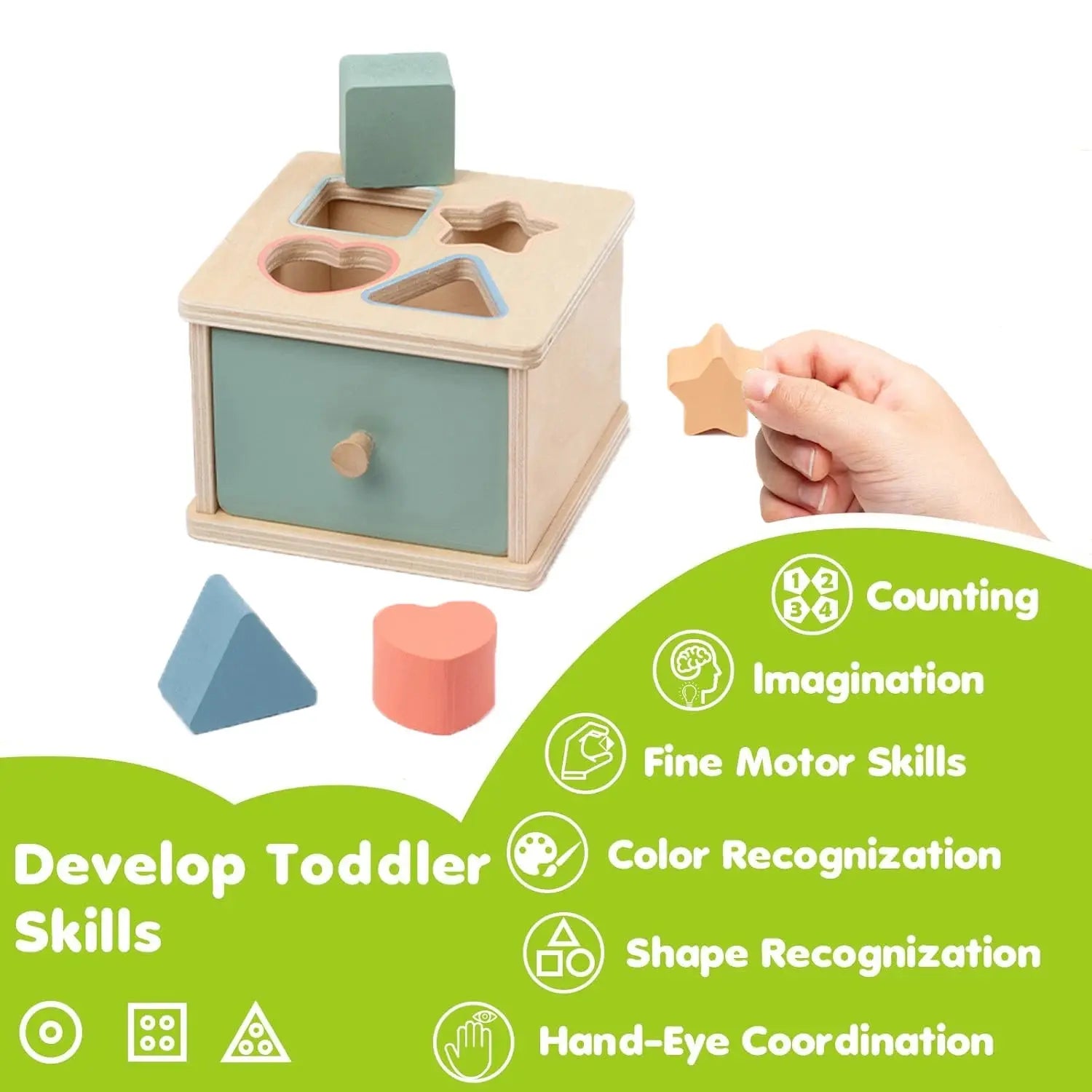 Montessori Wooden Coin & Shape Box Educational Toy Trikidsworld