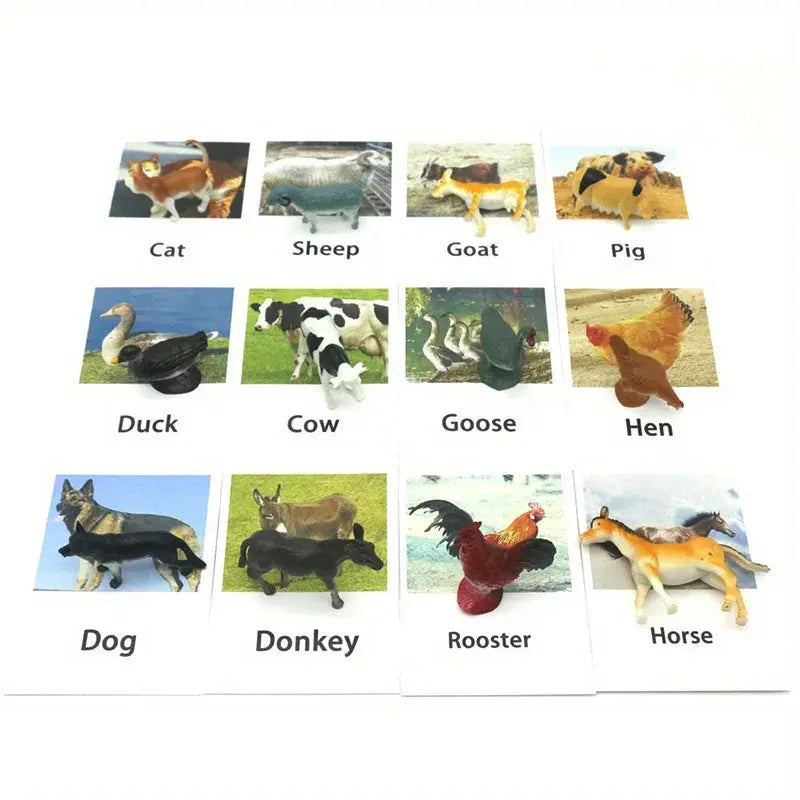 Montessori Animal Matching Card,Language Learning Cognitive Kids Educational Toy Insect Farm Zoo Preschool Toddler 1 2 Years Old Trikidsworld