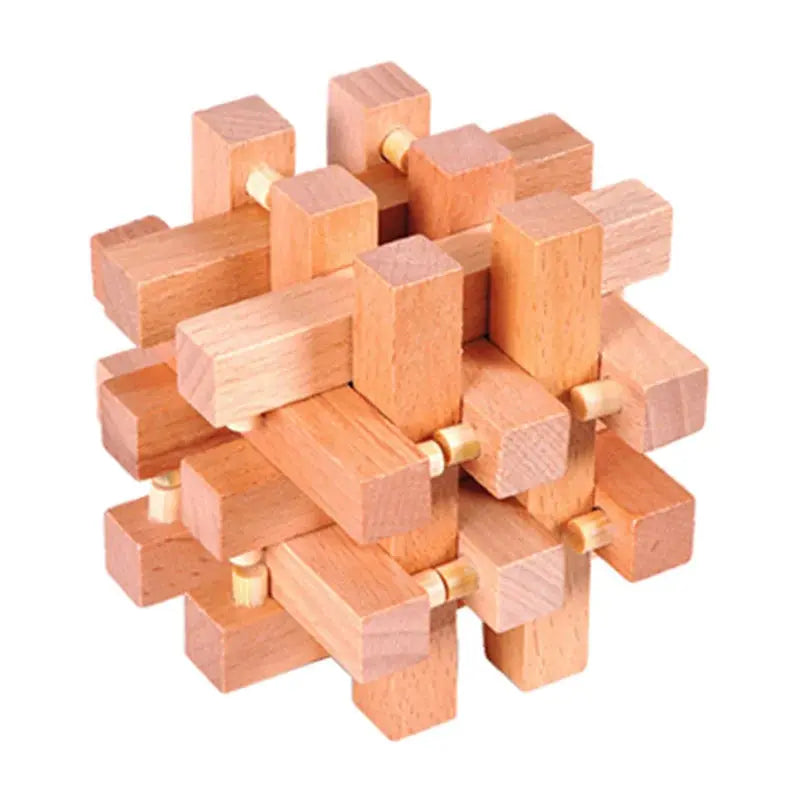 Wooden Puzzle Lock Toy Trikidsworld