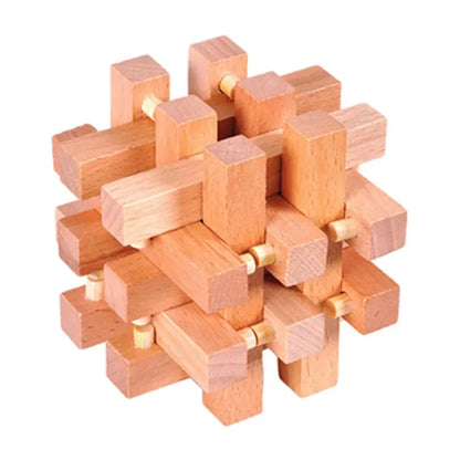 Wooden Puzzle Lock Toy Trikidsworld