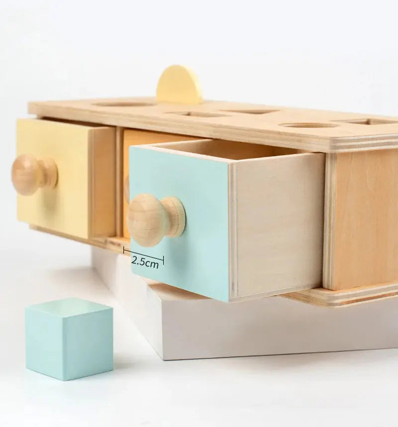 Montessori Wooden Baby Toy – Coin Box, Ball Drum & Shape Sorter | Educational & Sensory Learning Gift Trikidsworld