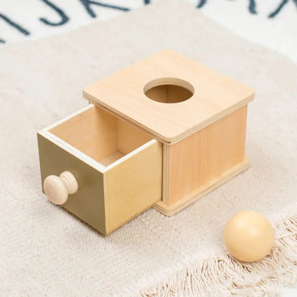 Montessori Wooden Baby Toy – Coin Box, Ball Drum & Shape Sorter | Educational & Sensory Learning Gift Trikidsworld