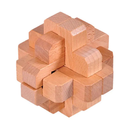 Wooden Puzzle Lock Toy Trikidsworld