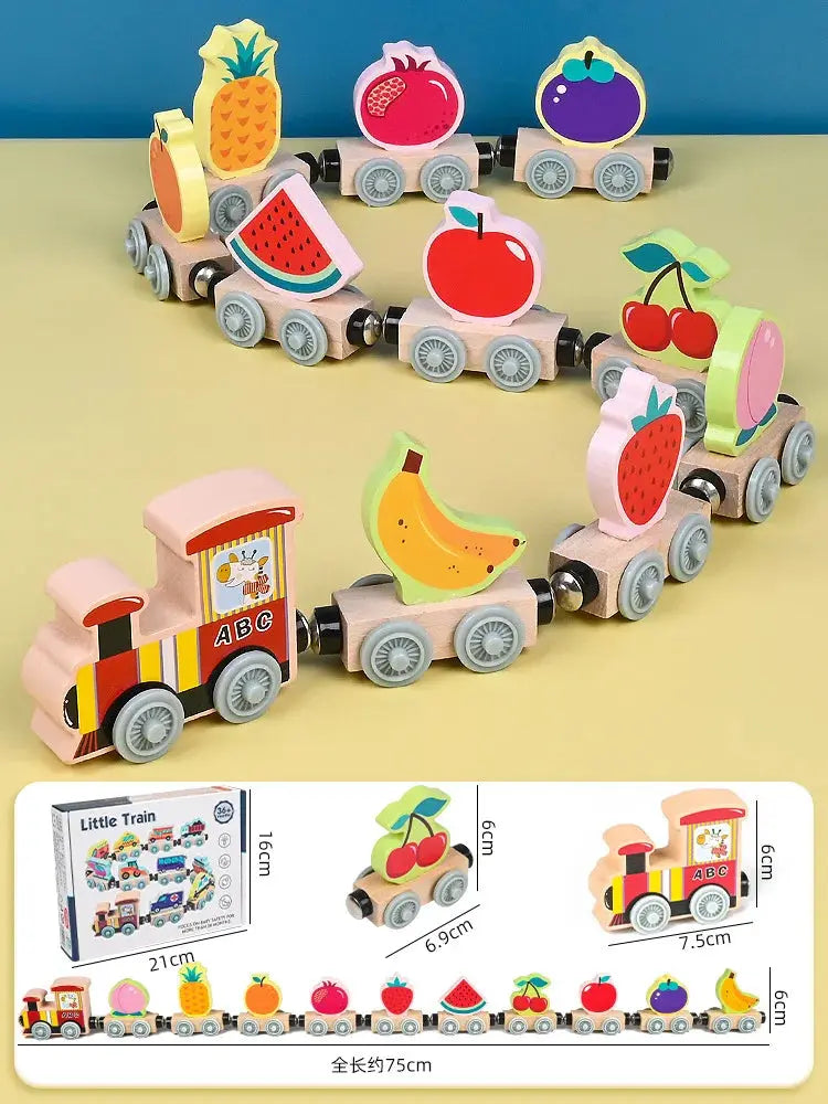 Montessori Magnetic Wooden Train Toy – Early Educational Animal Sorting Learning Set for Kids Trikidsworld