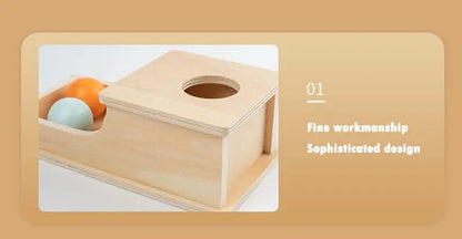 Montessori Wooden Baby Toy – Coin Box, Ball Drum & Shape Sorter | Educational & Sensory Learning Gift Trikidsworld