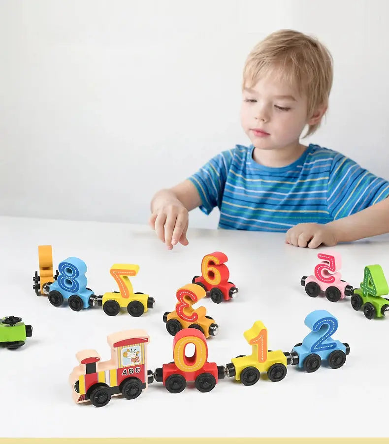 Montessori Magnetic Wooden Train Toy – Early Educational Animal Sorting Learning Set for Kids Trikidsworld