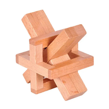Wooden Puzzle Lock Toy Trikidsworld