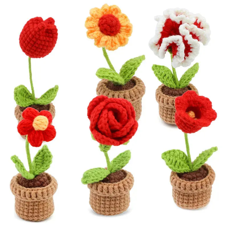 KRABALL 6pcs Crochet Flower Kit – Beginner Set with Yarn, Needles, and Video Tutorial Trikidsworld