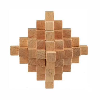 Wooden Puzzle Lock Toy Trikidsworld