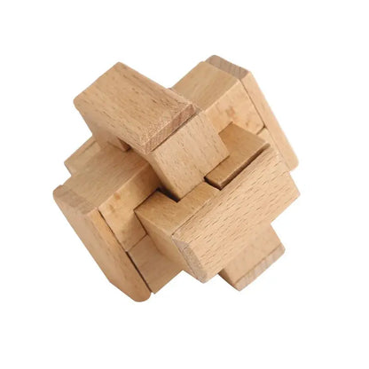 Wooden Puzzle Lock Toy Trikidsworld