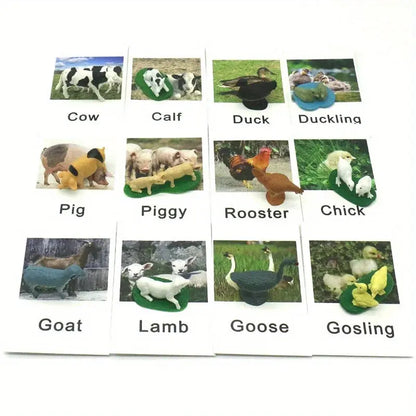 Montessori Animal Matching Card,Language Learning Cognitive Kids Educational Toy Insect Farm Zoo Preschool Toddler 1 2 Years Old Trikidsworld