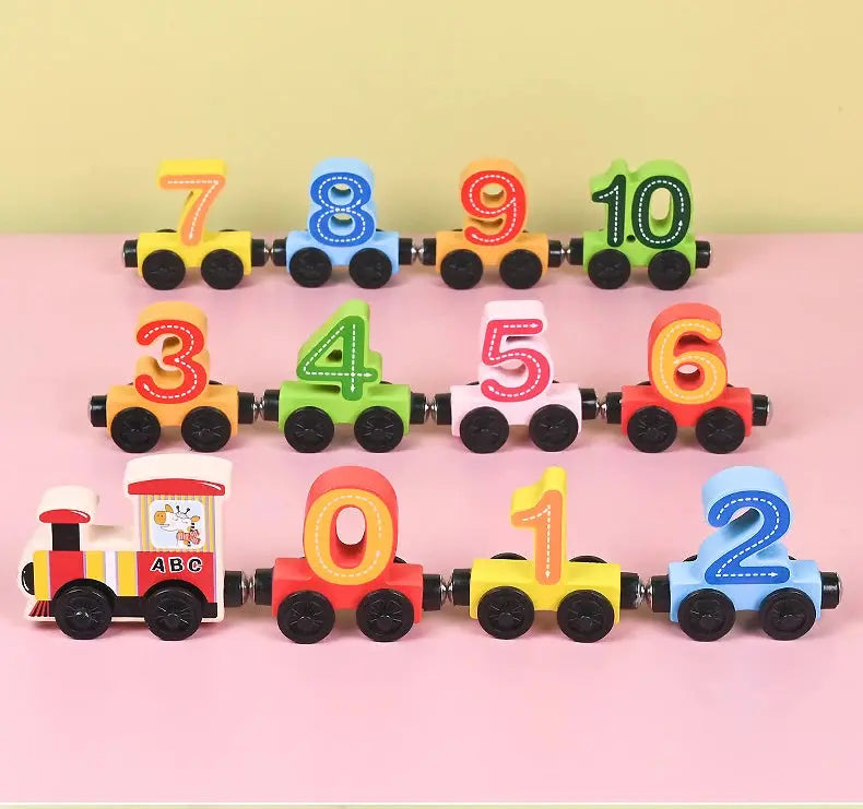 Montessori Magnetic Wooden Train Toy – Early Educational Animal Sorting Learning Set for Kids Trikidsworld