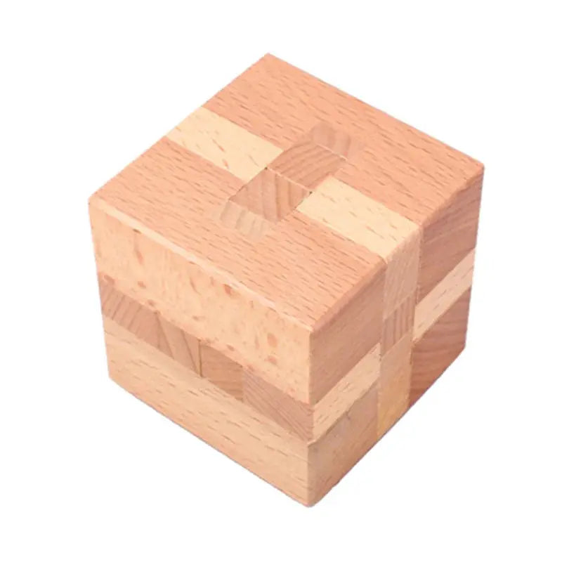 Wooden Puzzle Lock Toy Trikidsworld