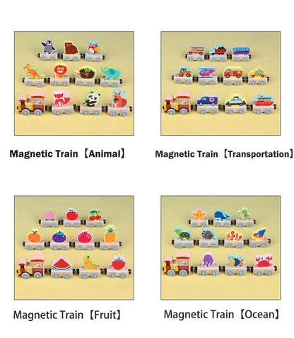 Montessori Magnetic Wooden Train Toy – Early Educational Animal Sorting Learning Set for Kids Trikidsworld