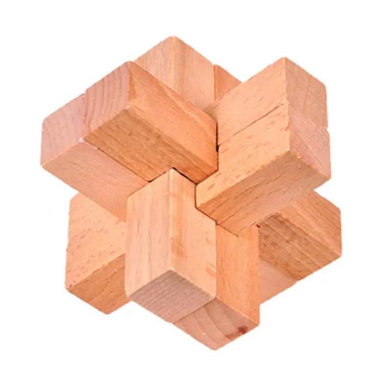 Wooden Puzzle Lock Toy Trikidsworld