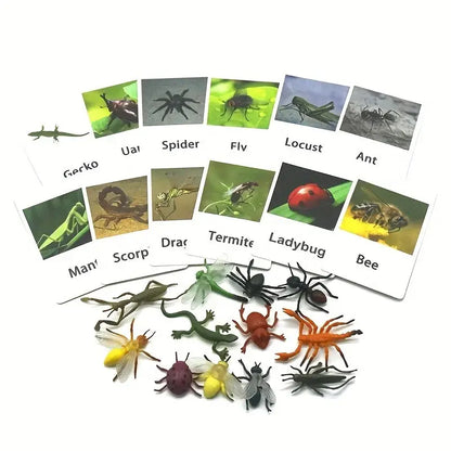 Montessori Animal Matching Card,Language Learning Cognitive Kids Educational Toy Insect Farm Zoo Preschool Toddler 1 2 Years Old Trikidsworld