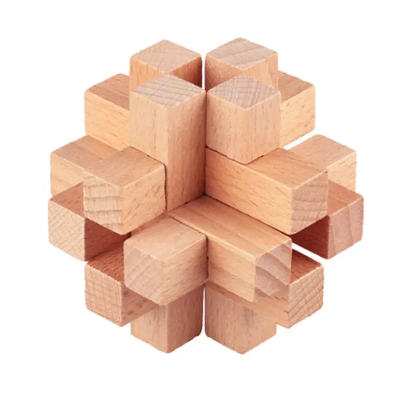 Wooden Puzzle Lock Toy Trikidsworld