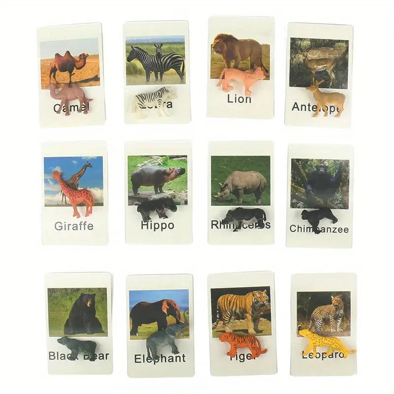Montessori Animal Matching Card,Language Learning Cognitive Kids Educational Toy Insect Farm Zoo Preschool Toddler 1 2 Years Old Trikidsworld