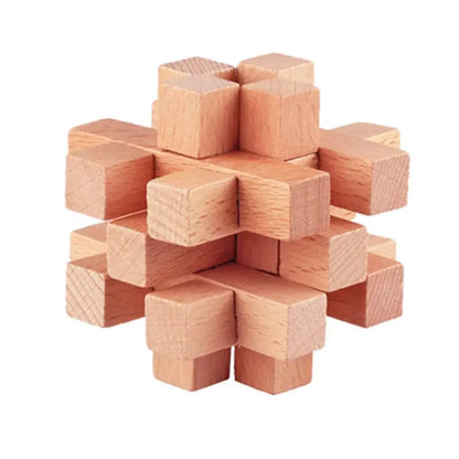 Wooden Puzzle Lock Toy Trikidsworld
